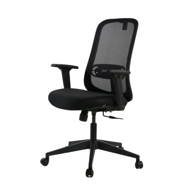 ZOOM MB - Image 2