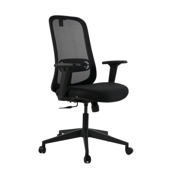 ZOOM MB - Image 3